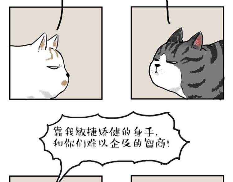 🍘吾皇巴扎黑 第291话 好兄弟，一辈子 第8页