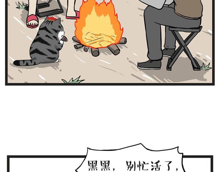 🍘吾皇巴扎黑 第295话 求你放过我 第29页