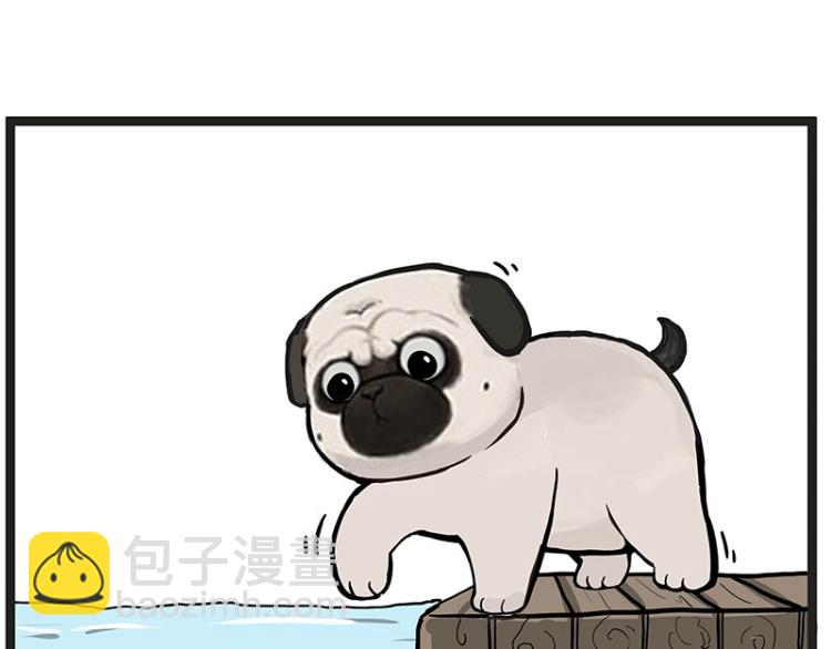 🍘吾皇巴扎黑 第295话 求你放过我 第33页