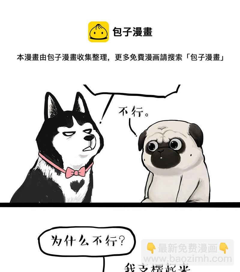🍘吾皇巴扎黑 第297话 无处不在拦路猫 第11页