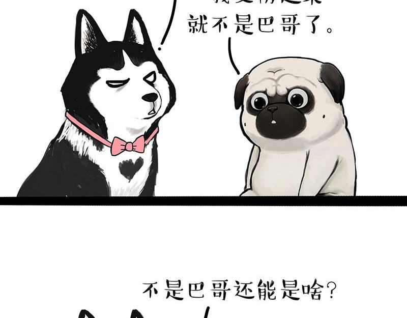 🍘吾皇巴扎黑 第297话 无处不在拦路猫 第12页