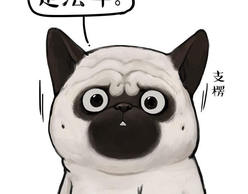 🍘吾皇巴扎黑 第297话 无处不在拦路猫 第14页