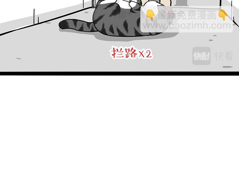 🍘吾皇巴扎黑 第297话 无处不在拦路猫 第5页