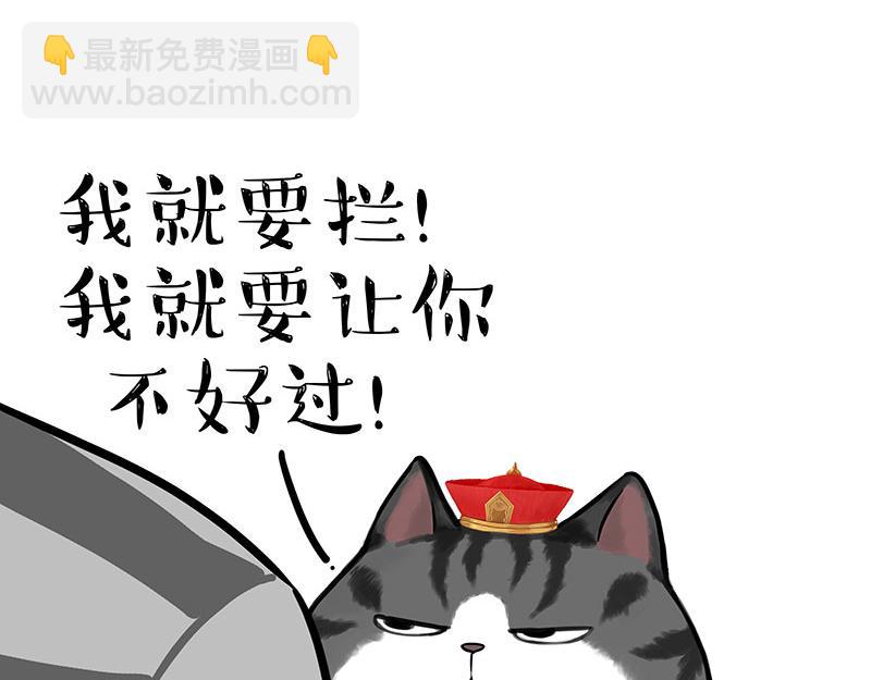 🍘吾皇巴扎黑 第297话 无处不在拦路猫 第7页