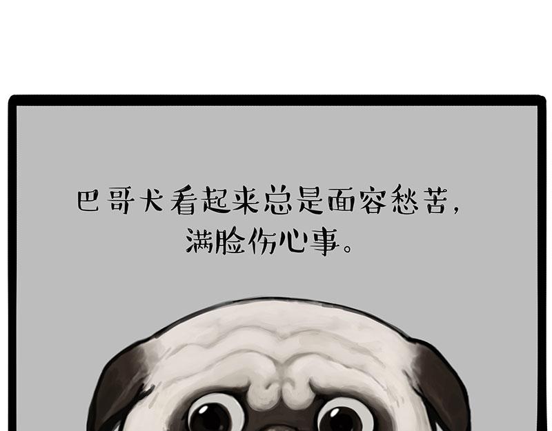 🍘吾皇巴扎黑 第297话 无处不在拦路猫 第9页