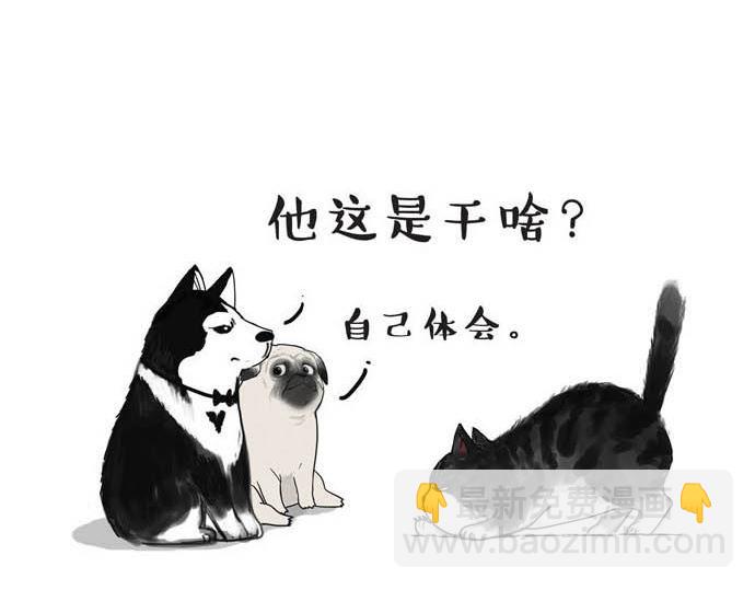 🍘吾皇巴扎黑 第31话 来自喵星人的快感 第10页