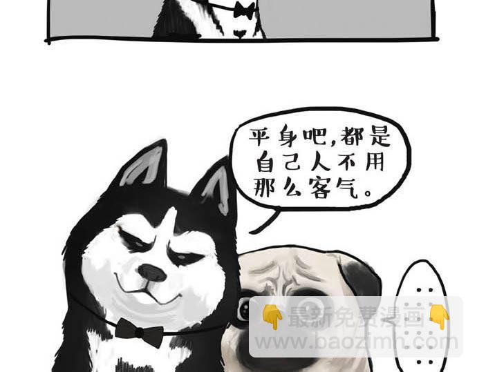 🍘吾皇巴扎黑 第31话 来自喵星人的快感 第12页