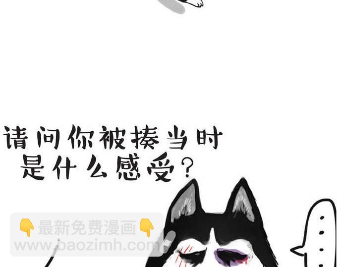 🍘吾皇巴扎黑 第31话 来自喵星人的快感 第14页