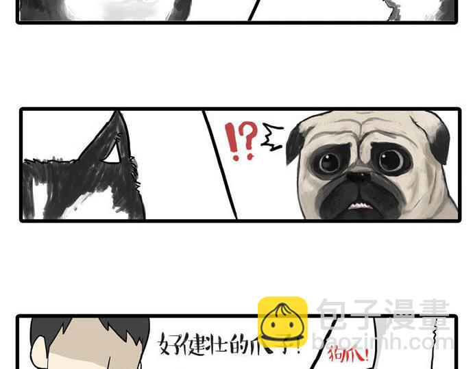 🍘吾皇巴扎黑 第31话 来自喵星人的快感 第3页