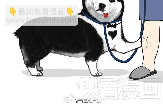 🍘吾皇巴扎黑 第31话 来自喵星人的快感 第6页