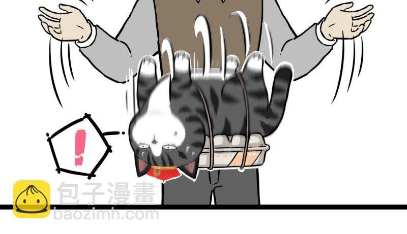 🍘吾皇巴扎黑 第301话 离谱小妙招 第12页