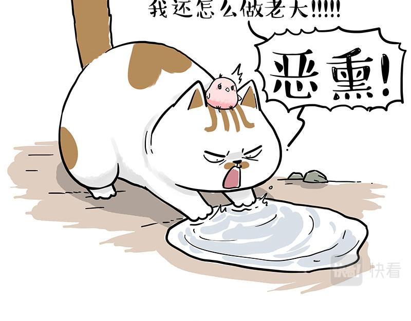 🍘吾皇巴扎黑 第303话 你有“熏”吗？ 第10页
