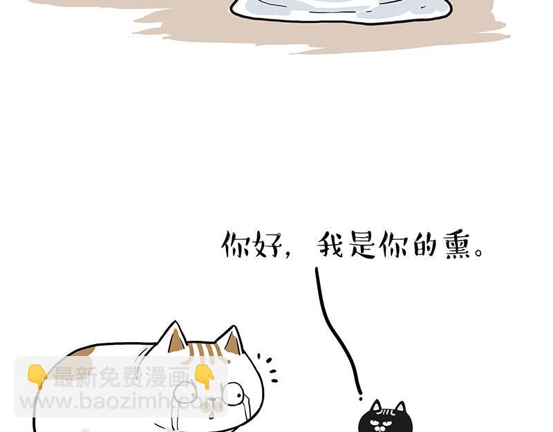 🍘吾皇巴扎黑 第303话 你有“熏”吗？ 第23页