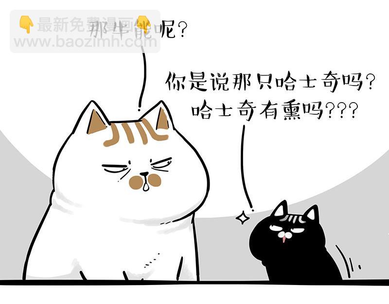 🍘吾皇巴扎黑 第303话 你有“熏”吗？ 第35页