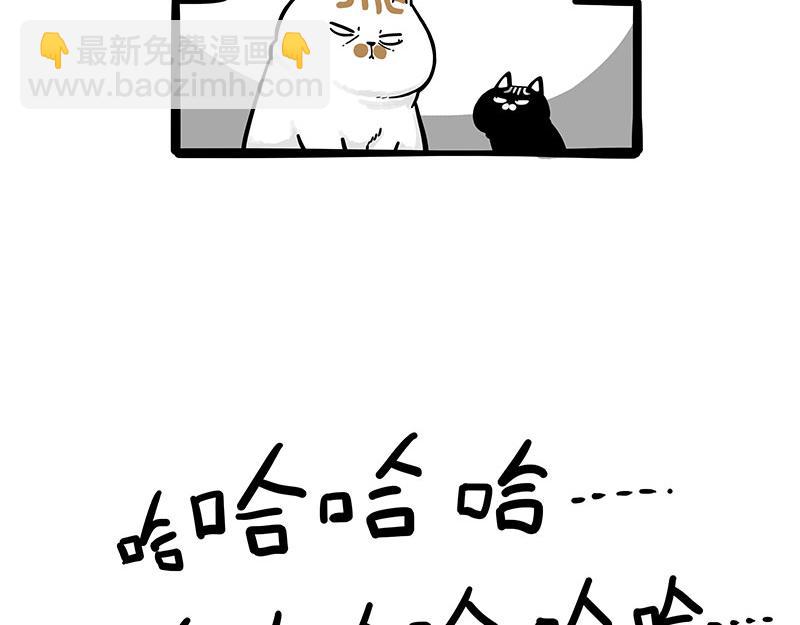 🍘吾皇巴扎黑 第303话 你有“熏”吗？ 第37页