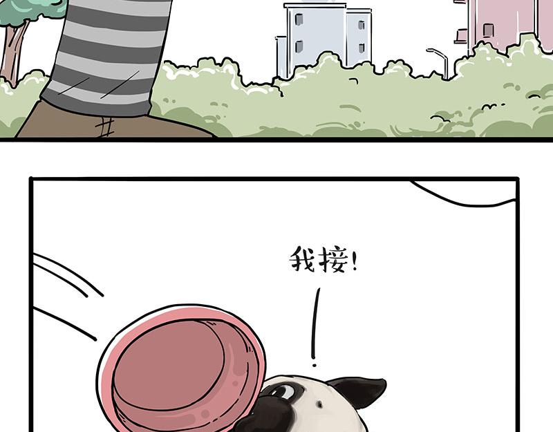 🍘吾皇巴扎黑 第305话 白表白了 第12页