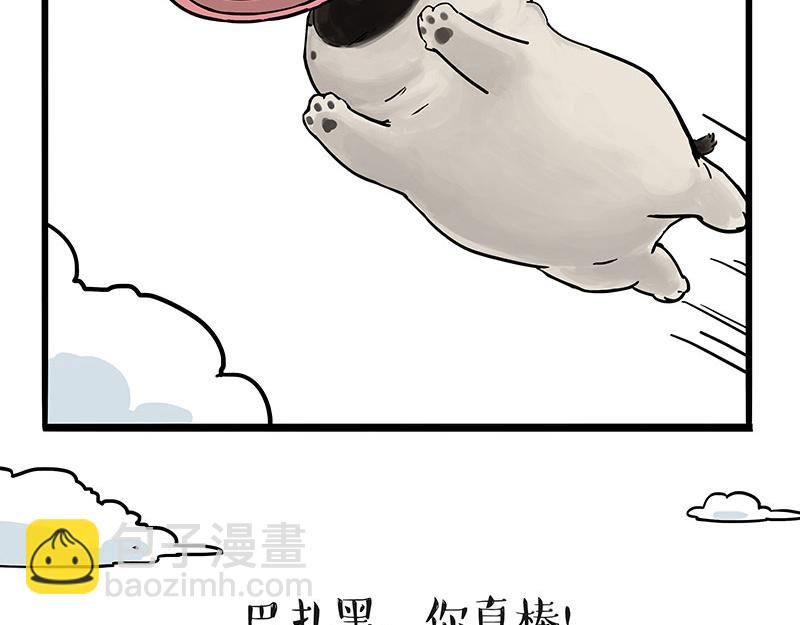 🍘吾皇巴扎黑 第305话 白表白了 第13页