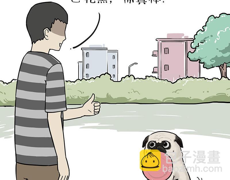 🍘吾皇巴扎黑 第305话 白表白了 第14页