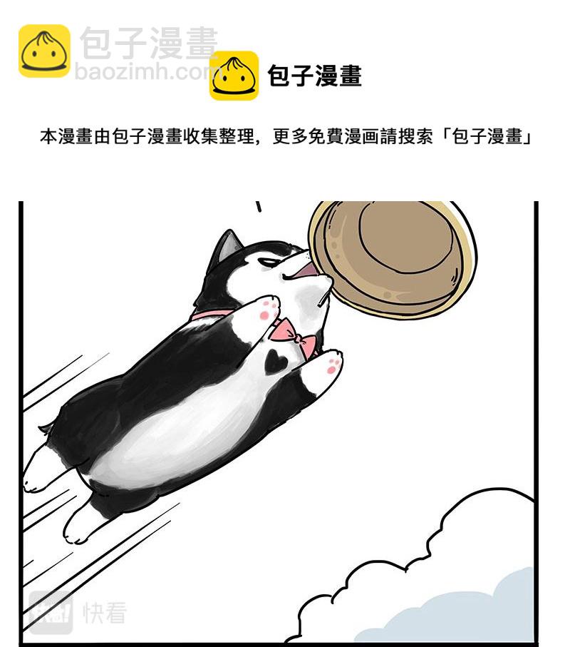🍘吾皇巴扎黑 第305话 白表白了 第17页