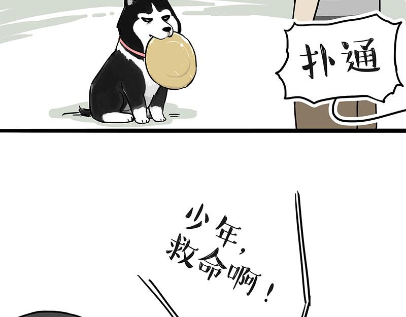 🍘吾皇巴扎黑 第305话 白表白了 第19页