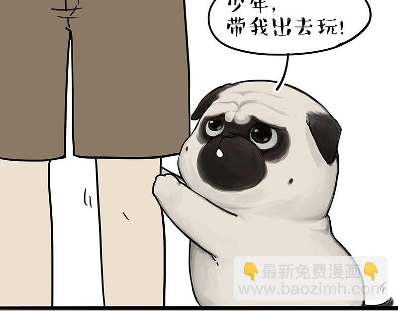 🍘吾皇巴扎黑 第305话 白表白了 第3页