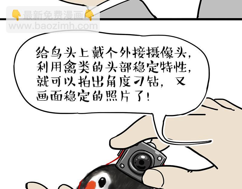 🍘吾皇巴扎黑 第309话 不妙小喵招 第10页
