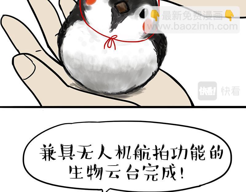 🍘吾皇巴扎黑 第309话 不妙小喵招 第11页