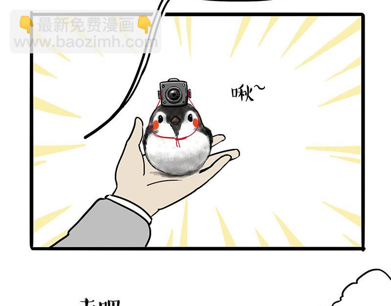 🍘吾皇巴扎黑 第309话 不妙小喵招 第12页