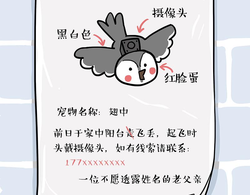 🍘吾皇巴扎黑 第309话 不妙小喵招 第15页