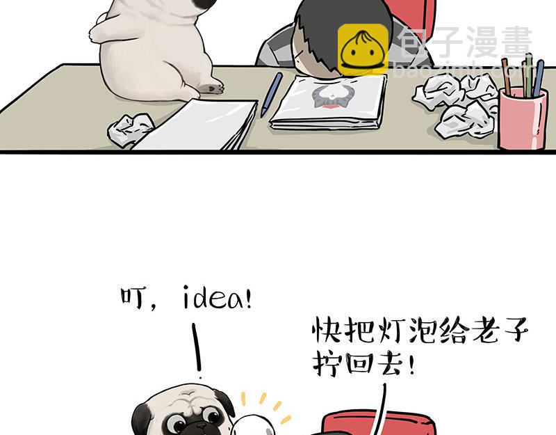 🍘吾皇巴扎黑 第309话 不妙小喵招 第19页