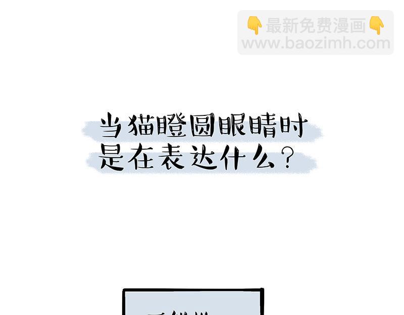 🍘吾皇巴扎黑 第309话 不妙小喵招 第26页