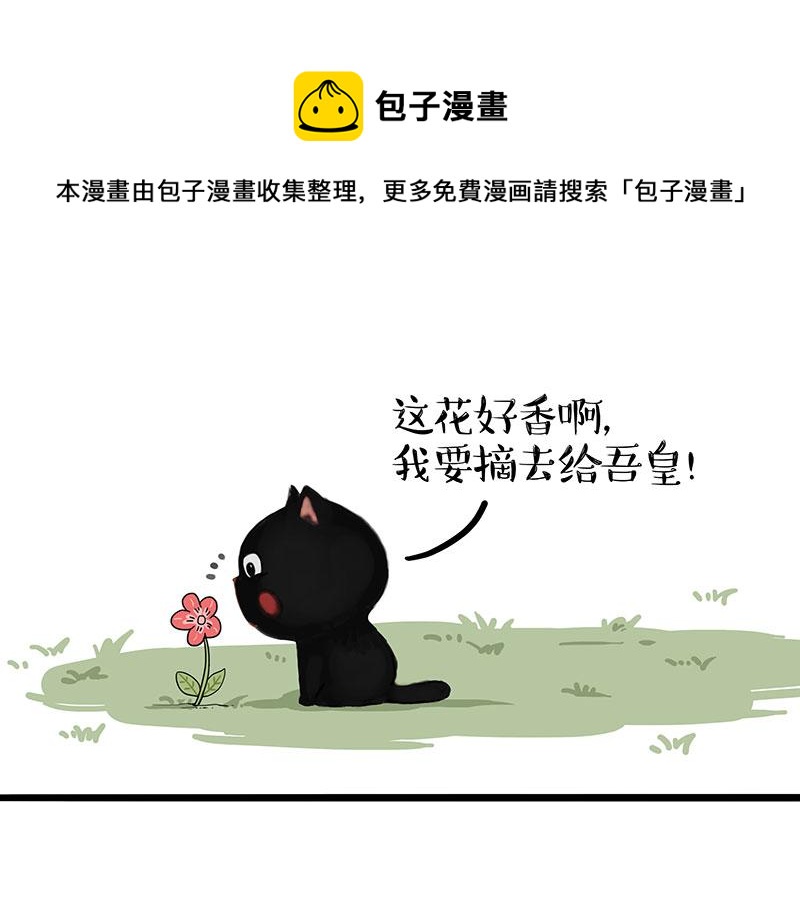 🍘吾皇巴扎黑 第311话 抓不住！ 第1页