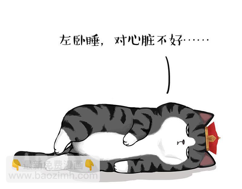 🍘吾皇巴扎黑 第311话 抓不住！ 第12页
