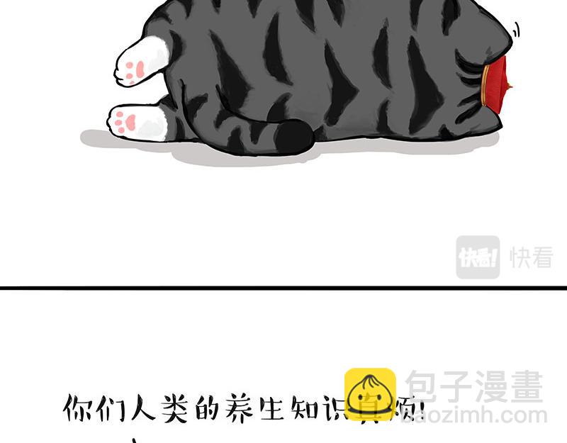 🍘吾皇巴扎黑 第311话 抓不住！ 第14页