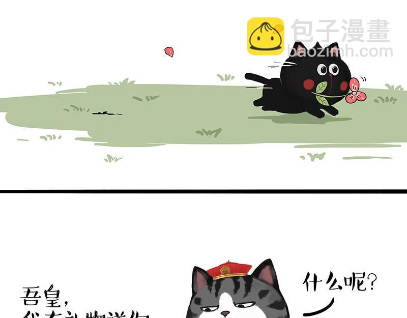 🍘吾皇巴扎黑 第311话 抓不住！ 第2页