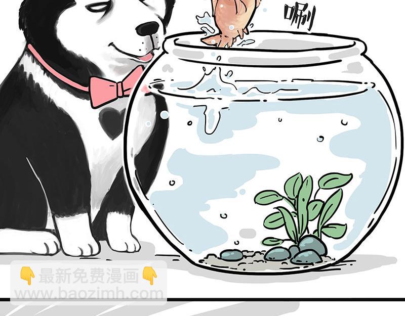 🍘吾皇巴扎黑 第313话 打工真谛 第18页