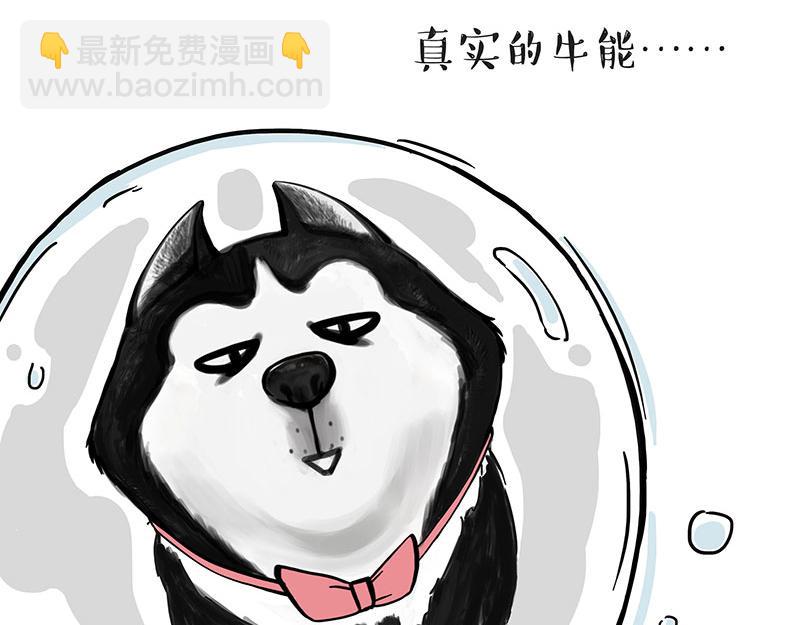 🍘吾皇巴扎黑 第313话 打工真谛 第20页