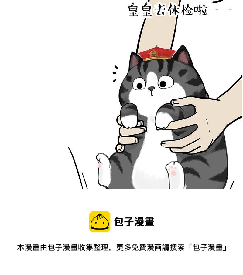 🍘吾皇巴扎黑 第315话 吾皇也有烦恼 第13页