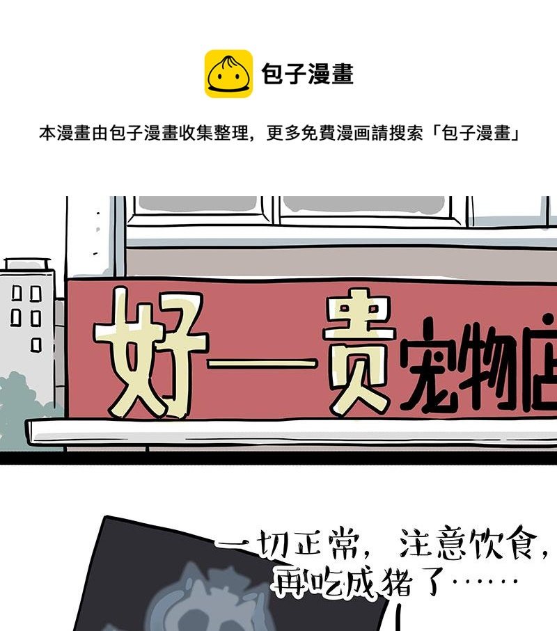 🍘吾皇巴扎黑 第315话 吾皇也有烦恼 第17页