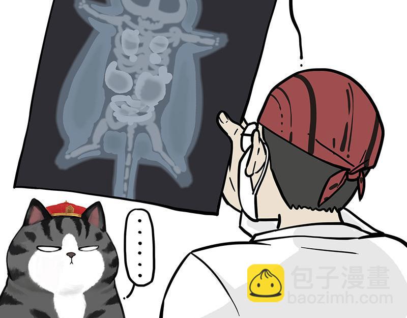 🍘吾皇巴扎黑 第315话 吾皇也有烦恼 第18页