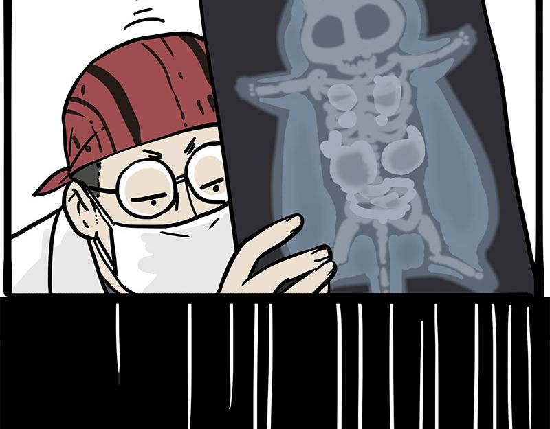 🍘吾皇巴扎黑 第315话 吾皇也有烦恼 第22页