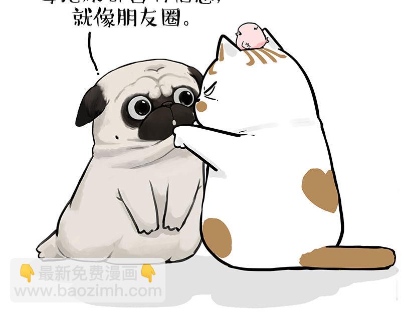 🍘吾皇巴扎黑 第317话 社交密码 第10页