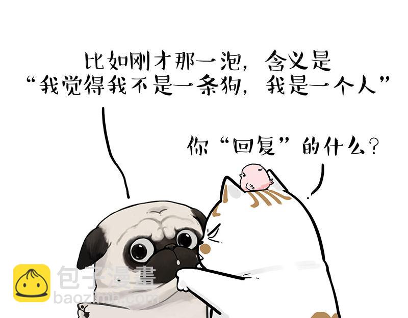 🍘吾皇巴扎黑 第317话 社交密码 第11页