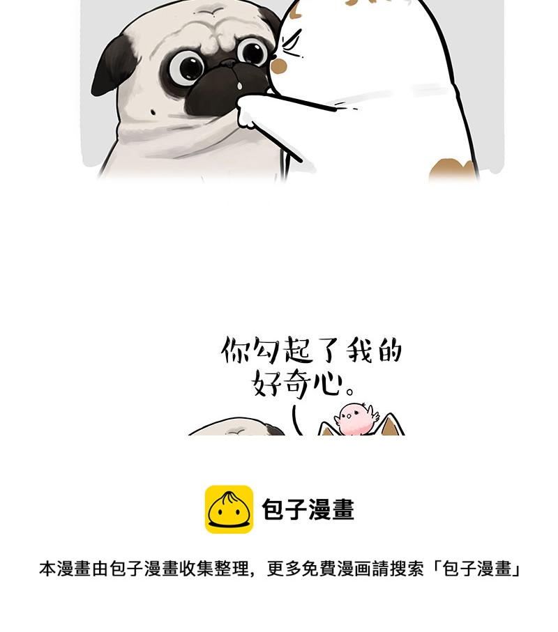 🍘吾皇巴扎黑 第317话 社交密码 第13页