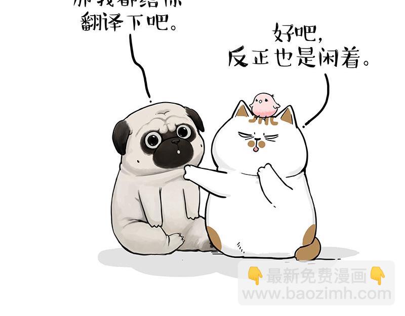 🍘吾皇巴扎黑 第317话 社交密码 第15页