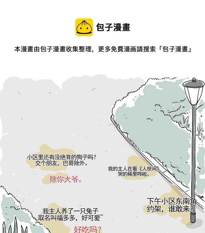 🍘吾皇巴扎黑 第317话 社交密码 第17页