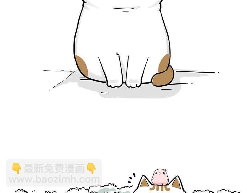 🍘吾皇巴扎黑 第317话 社交密码 第2页