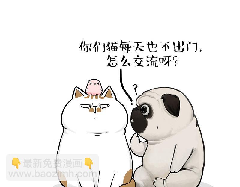 🍘吾皇巴扎黑 第317话 社交密码 第23页