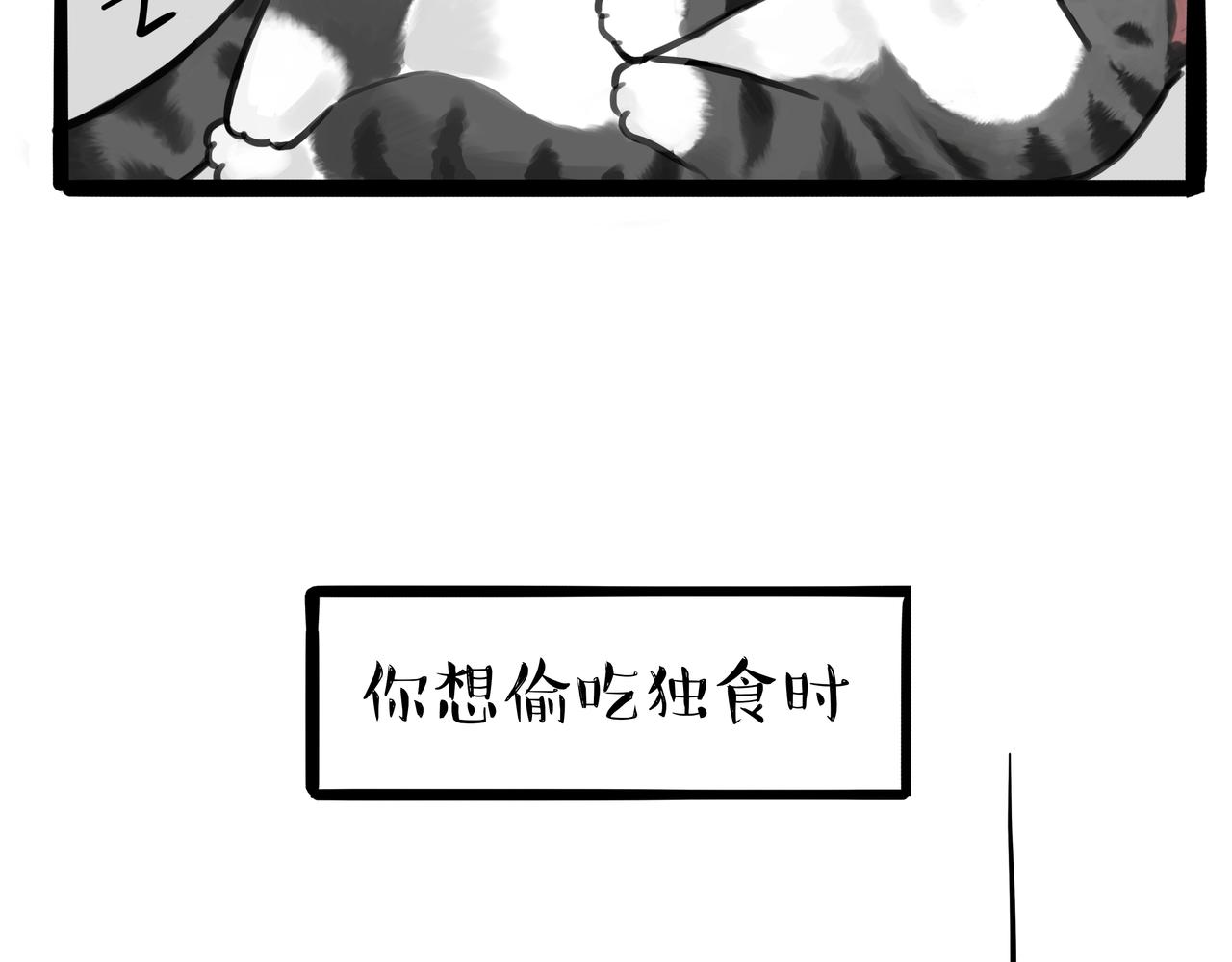 🍘吾皇巴扎黑 第317话 社交密码 第36页