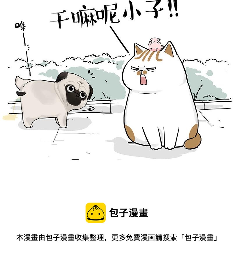 🍘吾皇巴扎黑 第317话 社交密码 第5页